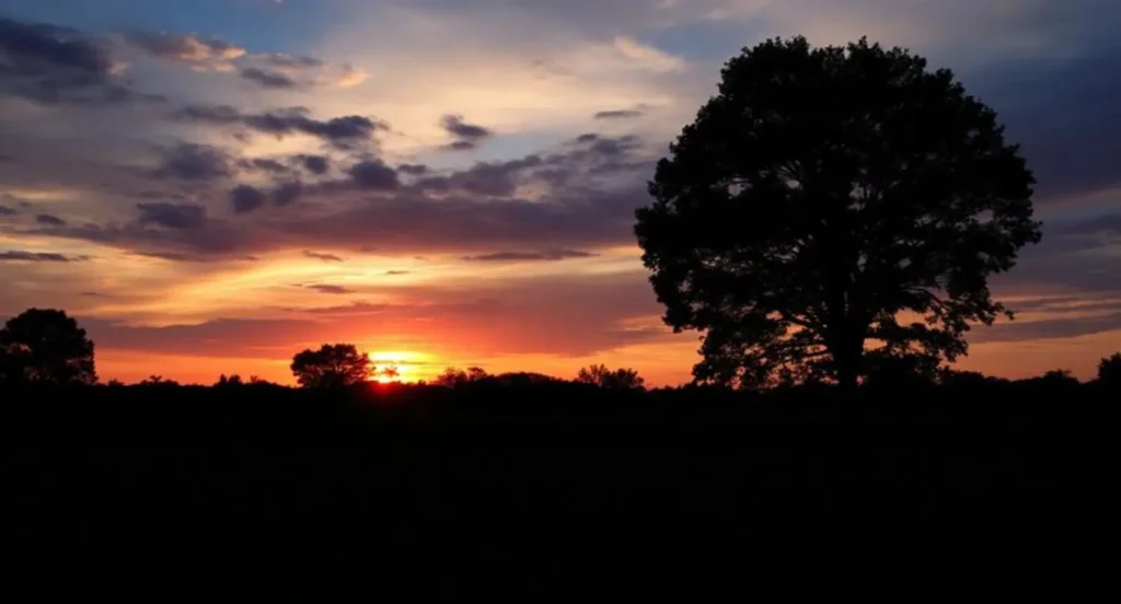 sunset captions for instagram