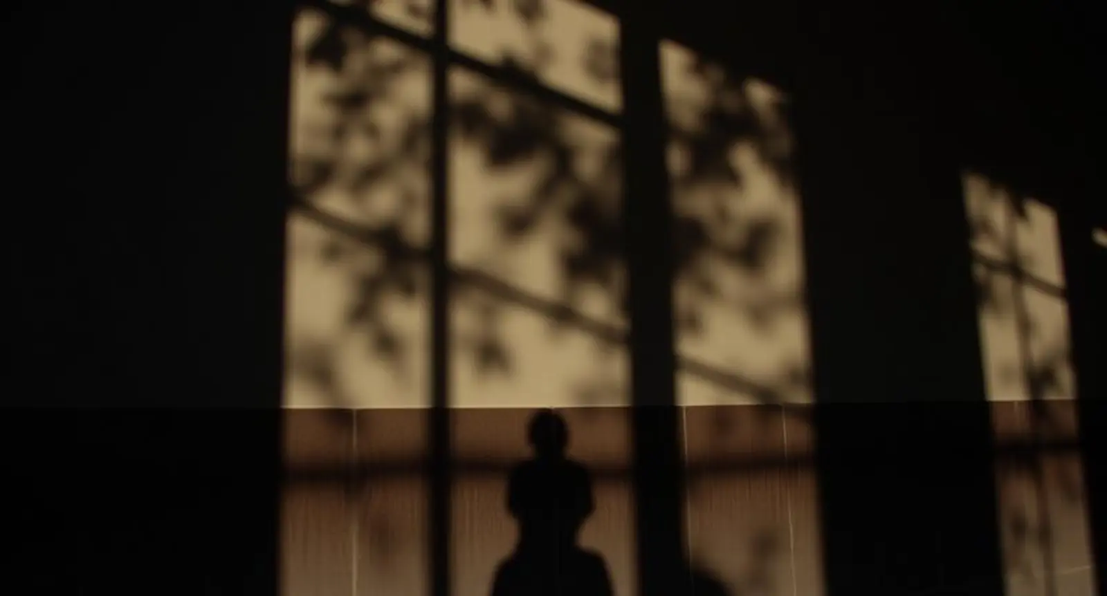 shadow synonym