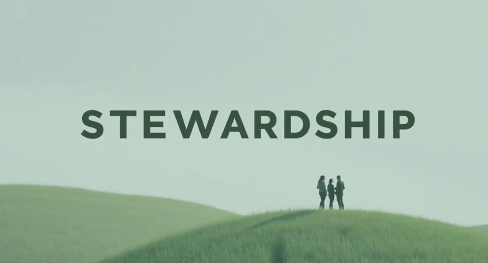 stewardship synonym